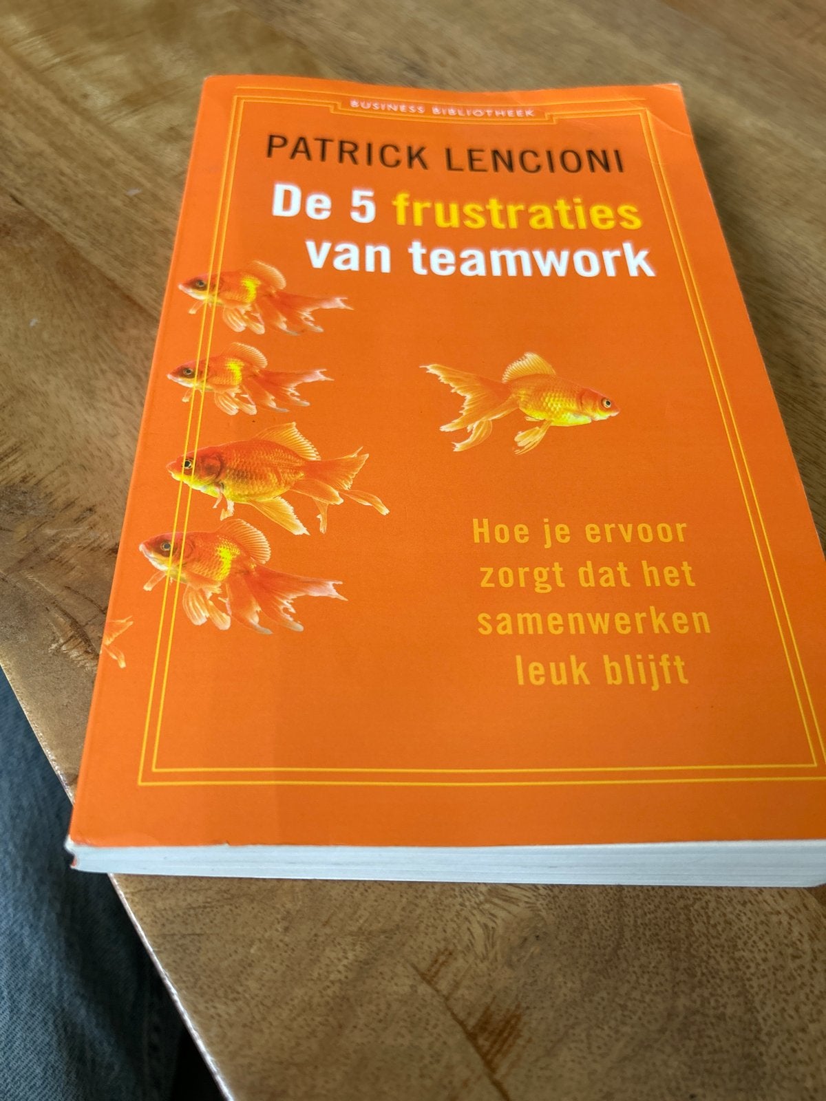 De 5 frustraties van teamwork - Patrick Lencioni, Ophalen of Verzenden, Gelezen, Nederland