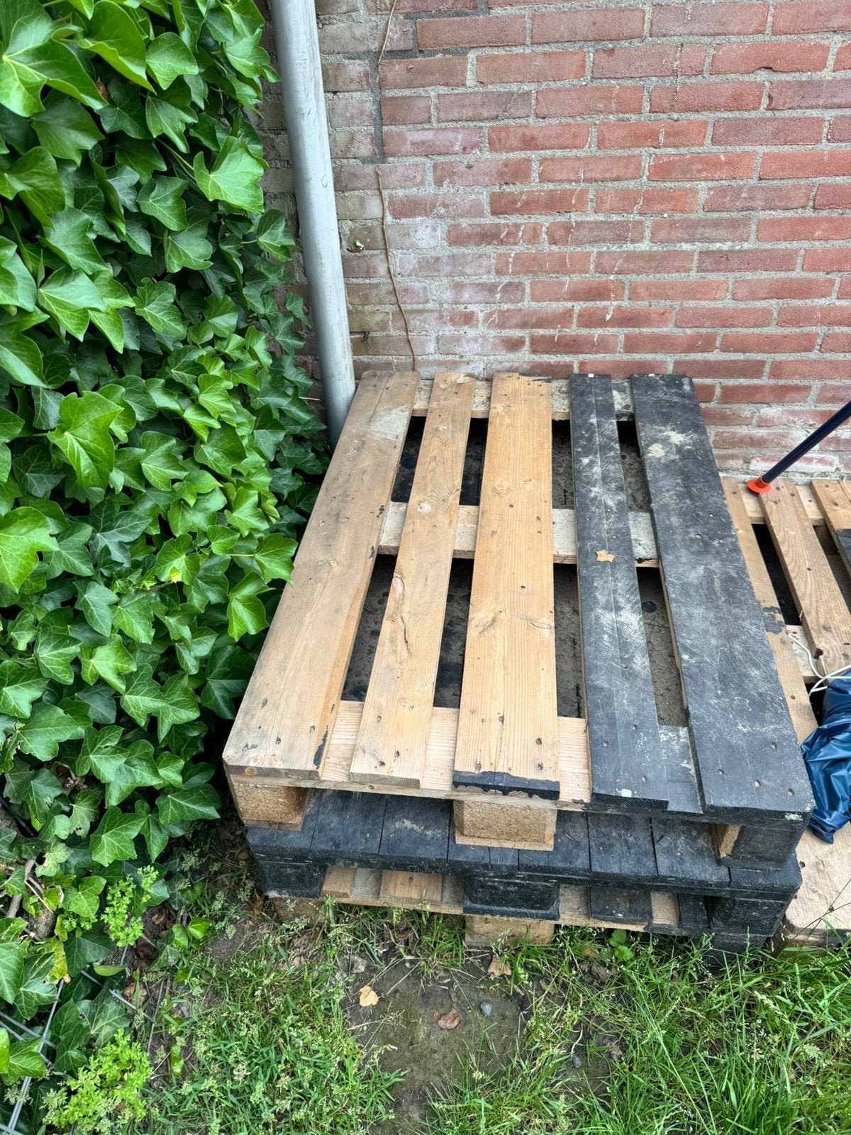 5 euro pallets gratis, Ophalen, Gebruikt, Pallet, Minder dan 200 cm