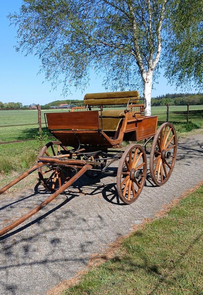 Antiek rijtuig / koets, Dieren en Toebehoren, Gebruikt, Overige typen, Paard of Pony
