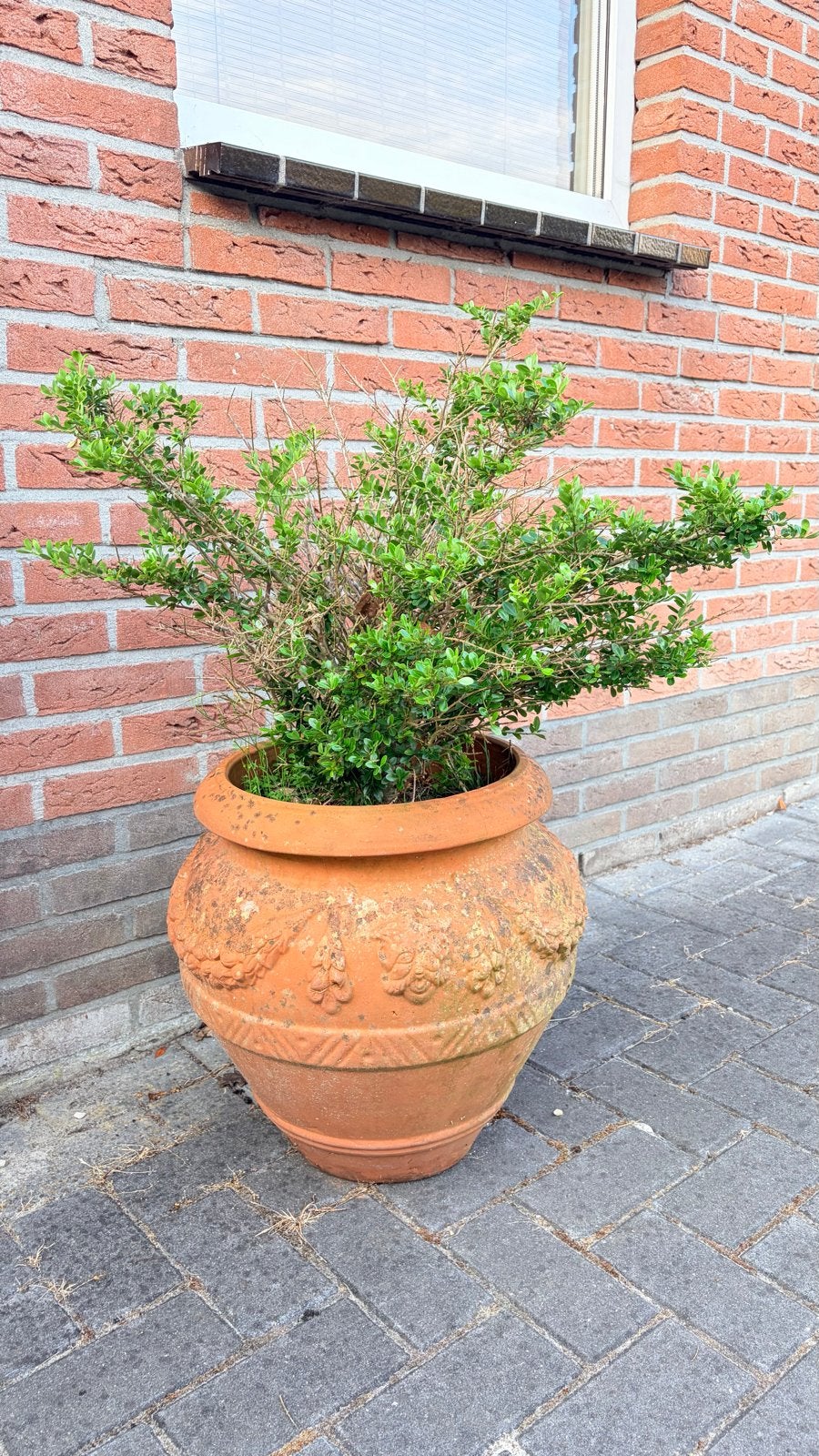Grote terracotta bloempot met decoratie, Ophalen, Gebruikt, Balkon, 40 cm of meer