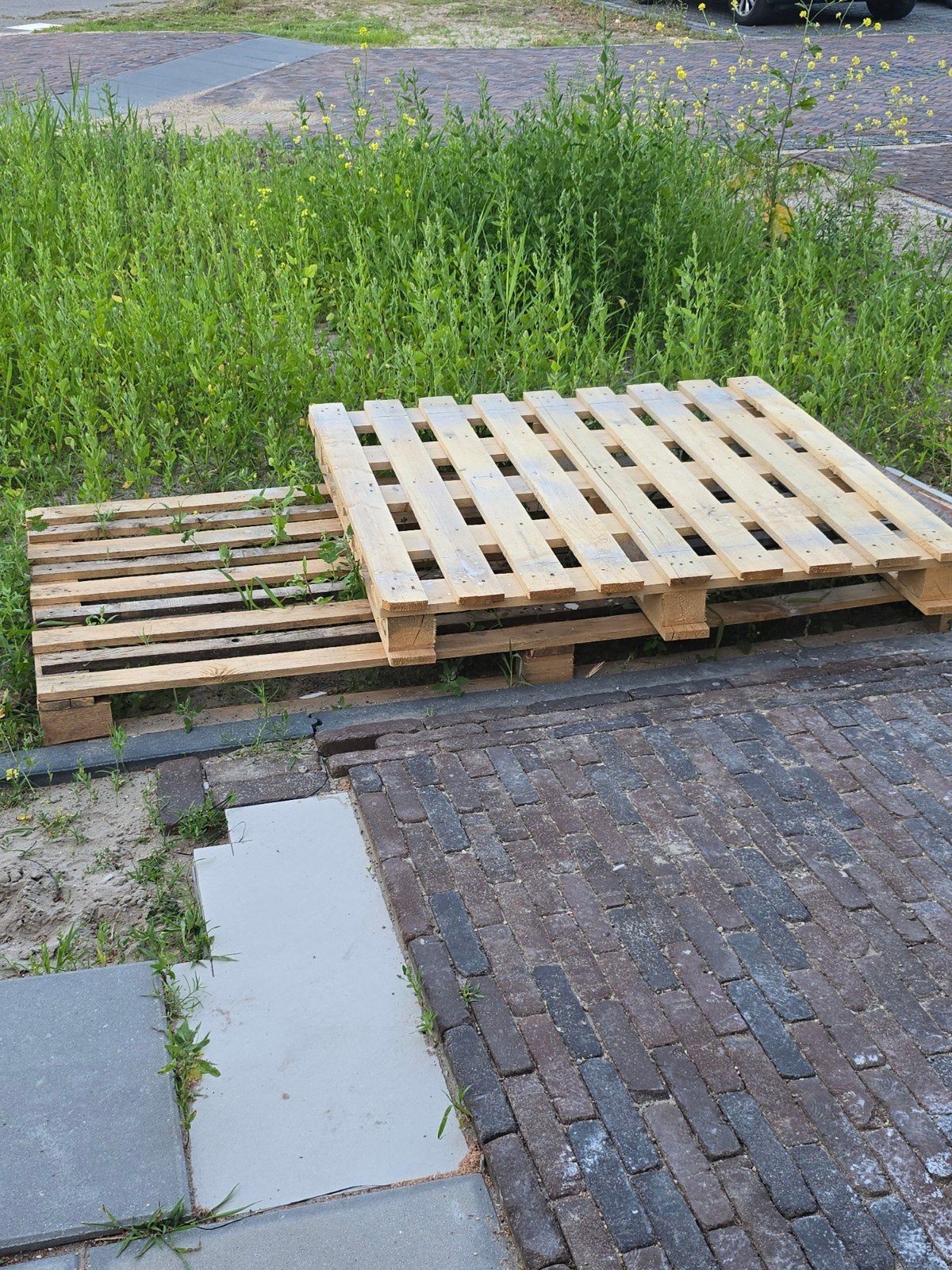 Pallets, Ophalen, Overige houtsoorten, Minder dan 200 cm, Pallet