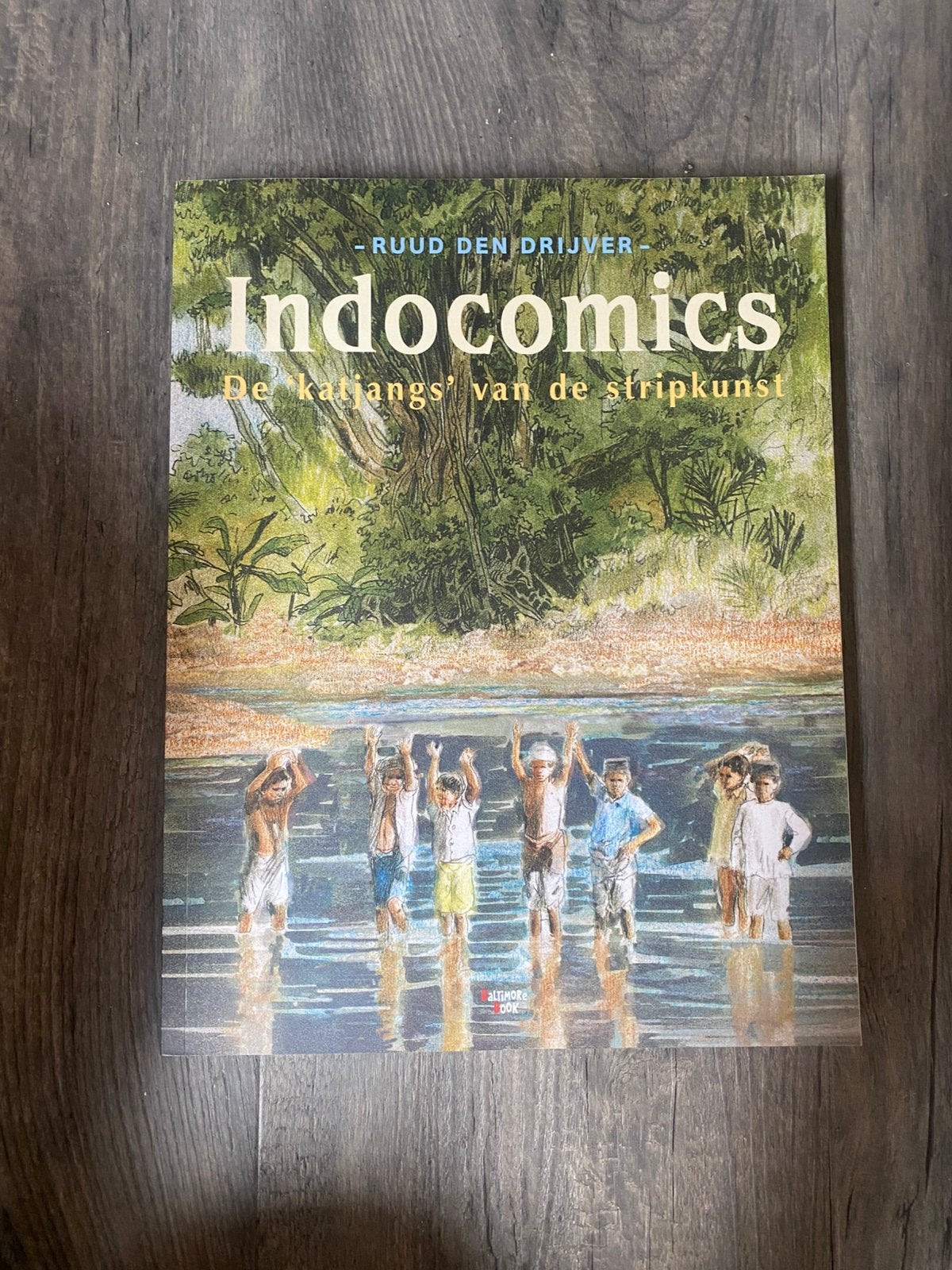 Ruud den Drijver - Indocomics, Ophalen of Verzenden, Zo goed als nieuw, Ruud den Drijver