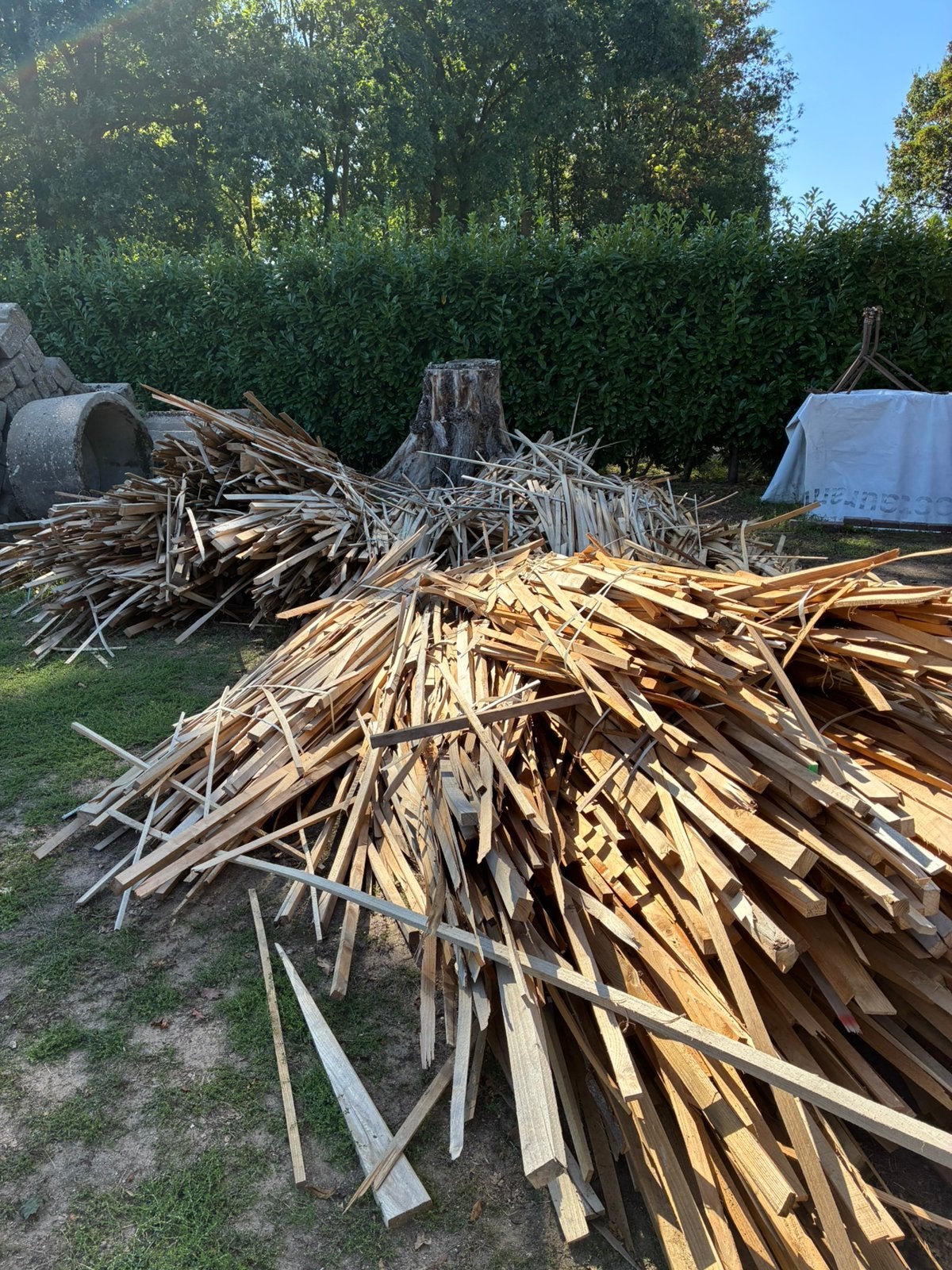 Aanmaak hout Robinia, 3 tot 6 m³, Ophalen, Overige houtsoorten