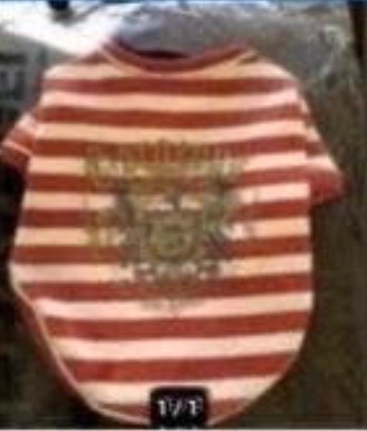 Shirtje puppy angel, Dieren en Toebehoren, Ophalen of Verzenden, Nieuw, Hondenshirt