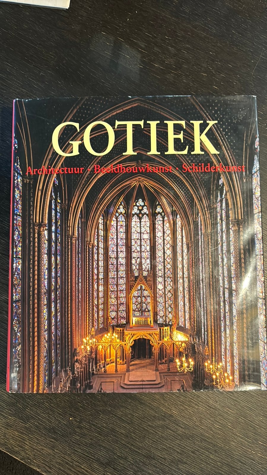 Gotiek. Kunstboek., Ophalen of Verzenden, Zo goed als nieuw