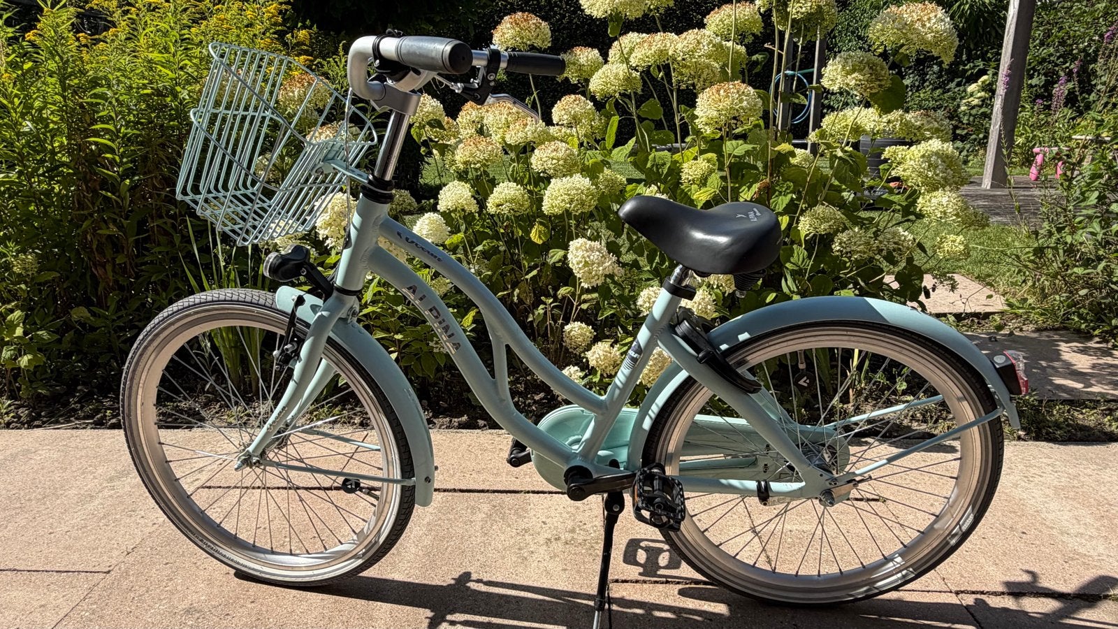 Alpina Ocean meisjesfiets 22 inch, Fietsen en Brommers, Fietsen | Meisjes, Ophalen, Zo goed als nieuw, Terugtraprem, 22 inch