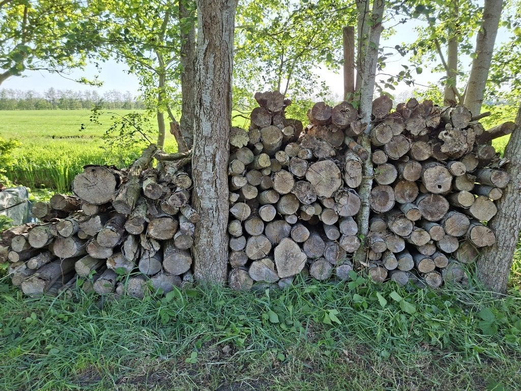 Stammen haardhout, Tuin en Terras, Haardhout, Minder dan 3 m³, Ophalen, Overige houtsoorten, Stammen