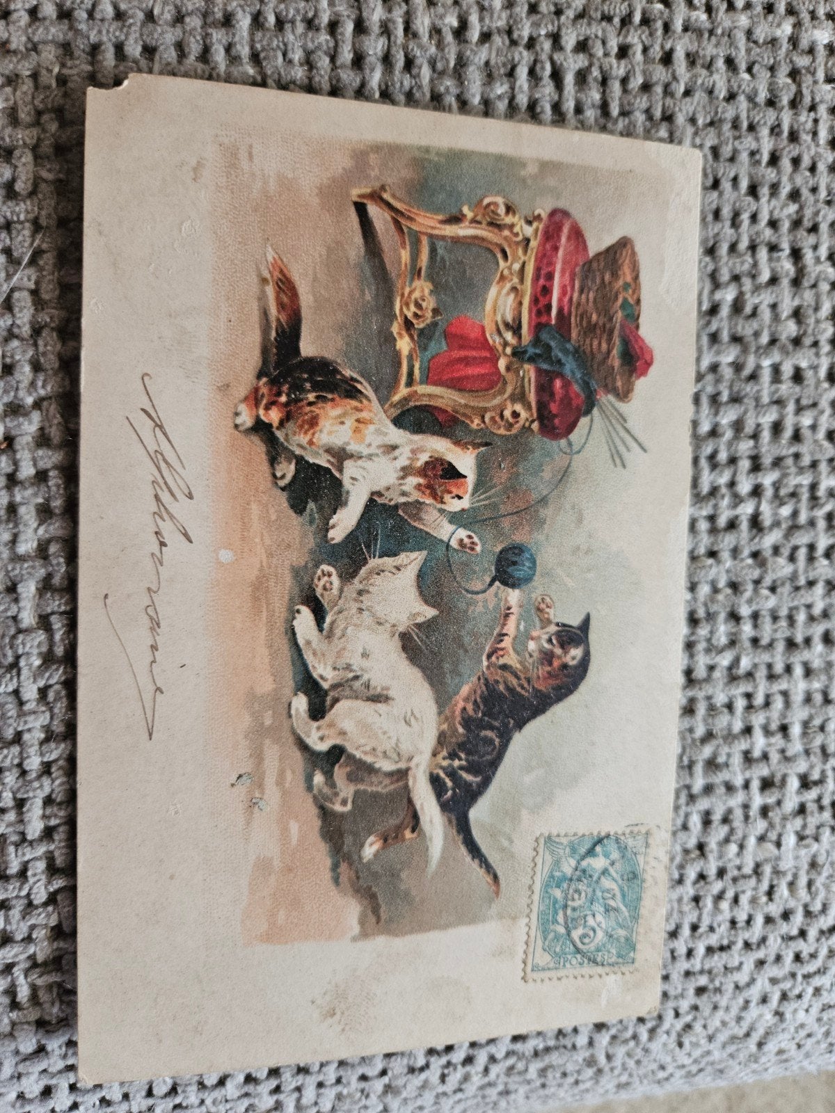 Poezen brocante Ansichtkaart: Spelende Katten (ca. 1900), Ophalen of Verzenden