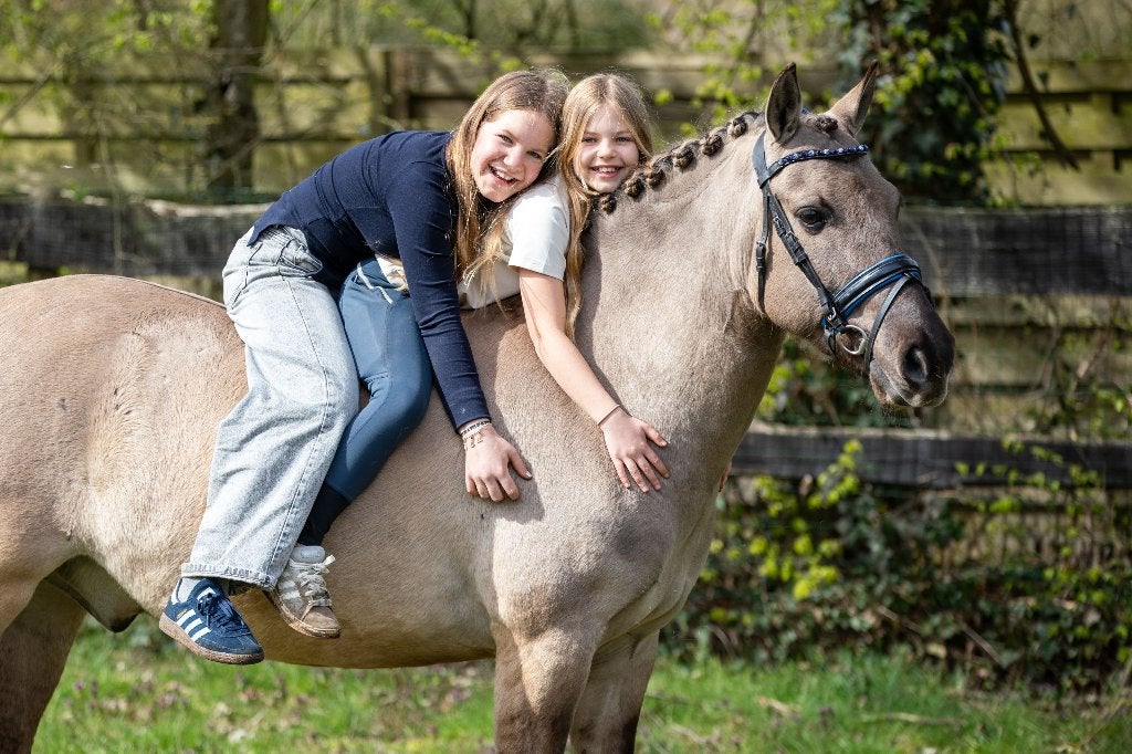 Leuke pony te lease Baelfire, Paardrijles of Ponykampen