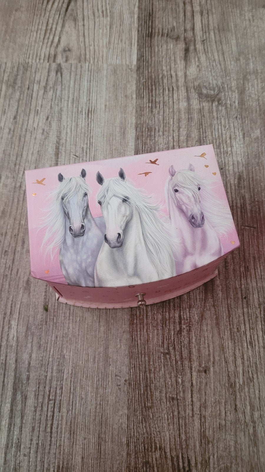 Leuk paarden sieraden doosje voor echte paarden fans, Softcase, Nieuw, Ophalen of Verzenden, Met spiegeltje(s)