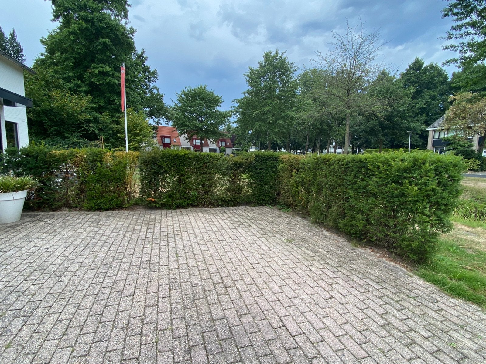 Taxus haag (14 meter, hoog 1,2 meter), Ophalen, Taxus