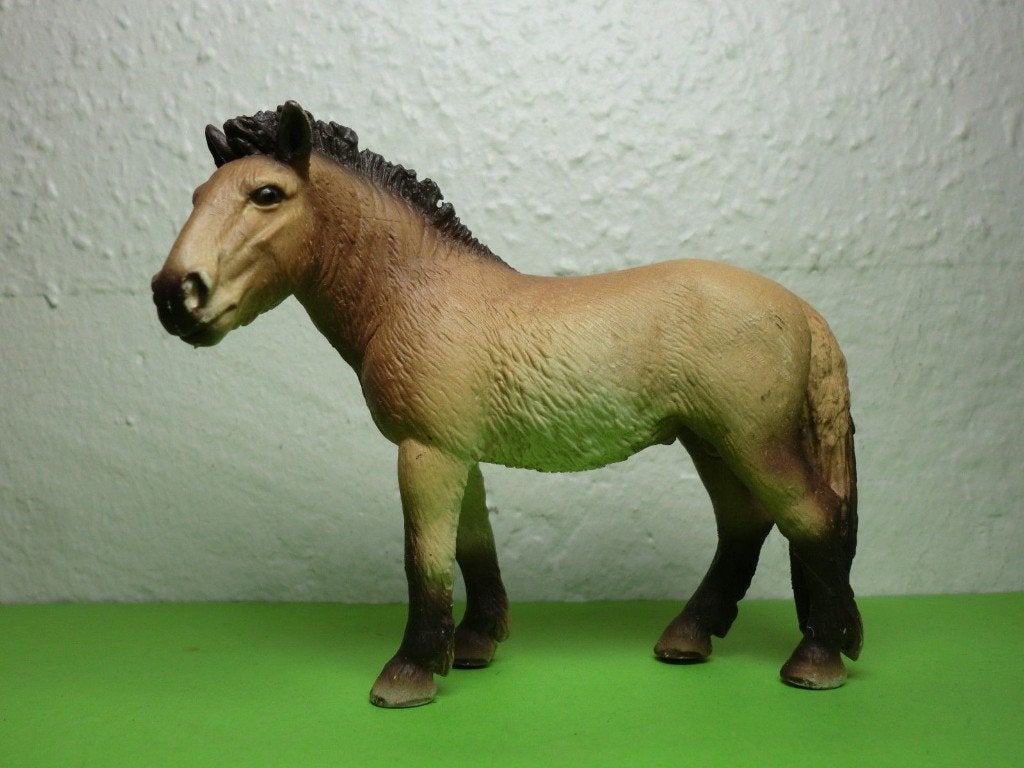 Schleich 13620 przwalski paard, dierfiguur, Ophalen of Verzenden, Gebruikt, Paard, Beeldje of Figuurtje