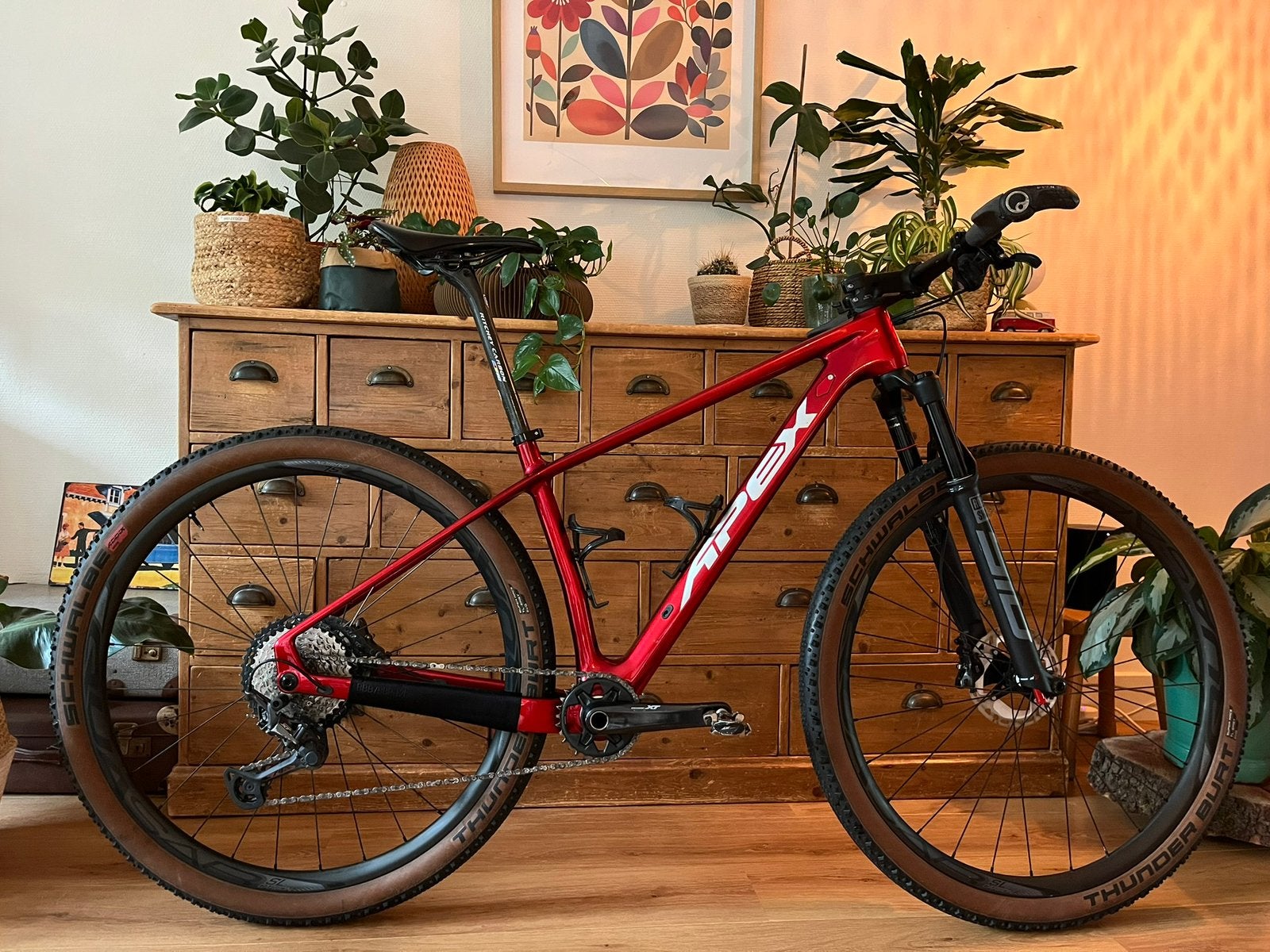 Apex Ronin Carbon Maat M, Hardtail, Ophalen, Gebruikt, Schijfrem
