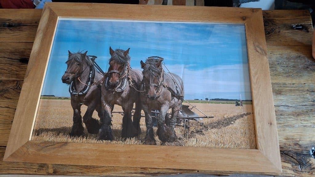 Grote eikenhouten lijst met trekpaarden, Ophalen, Bruin, 120 cm, 85 cm