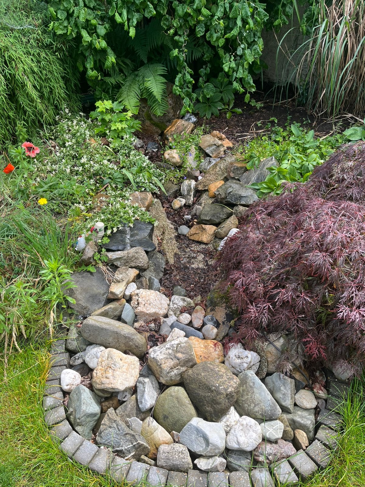Planten, bomen en stenen gratis ophalen, Tuin en Terras, Planten | Tuinplanten, Ophalen, Overige soorten, Volle zon