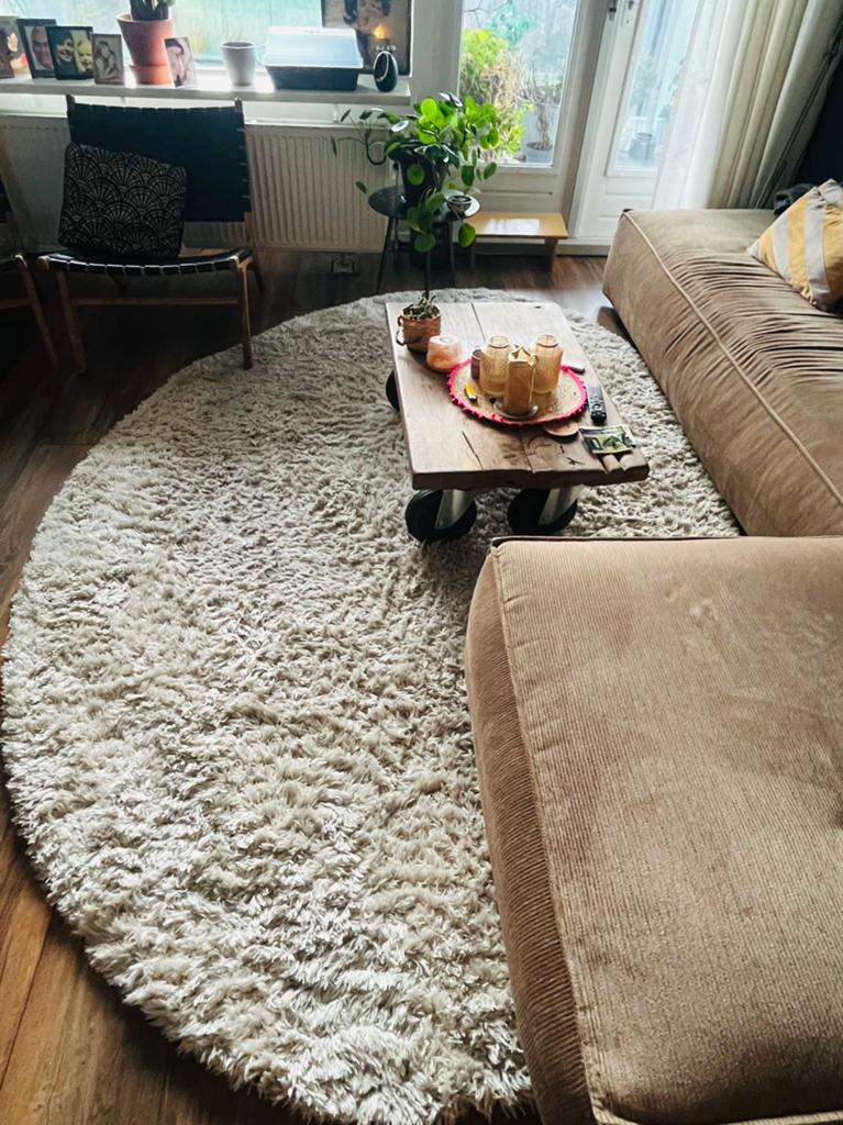 Vloerkleed (eivormig), Eivormig, Gebruikt, 150 tot 200 cm, 200 cm of meer