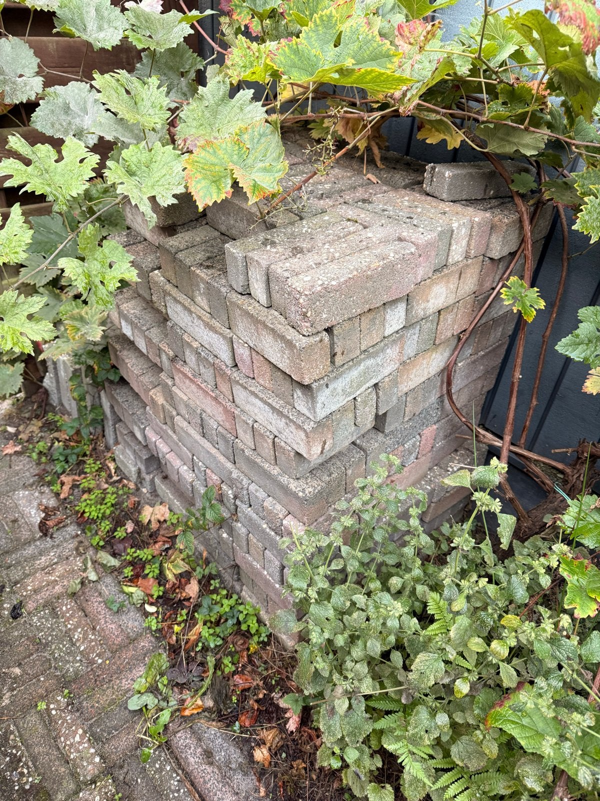 Gratis af te halen: circa 4 m³ gebruikte klinkers, Ophalen, Gebruikt, Klinkers, 10 m² of meer