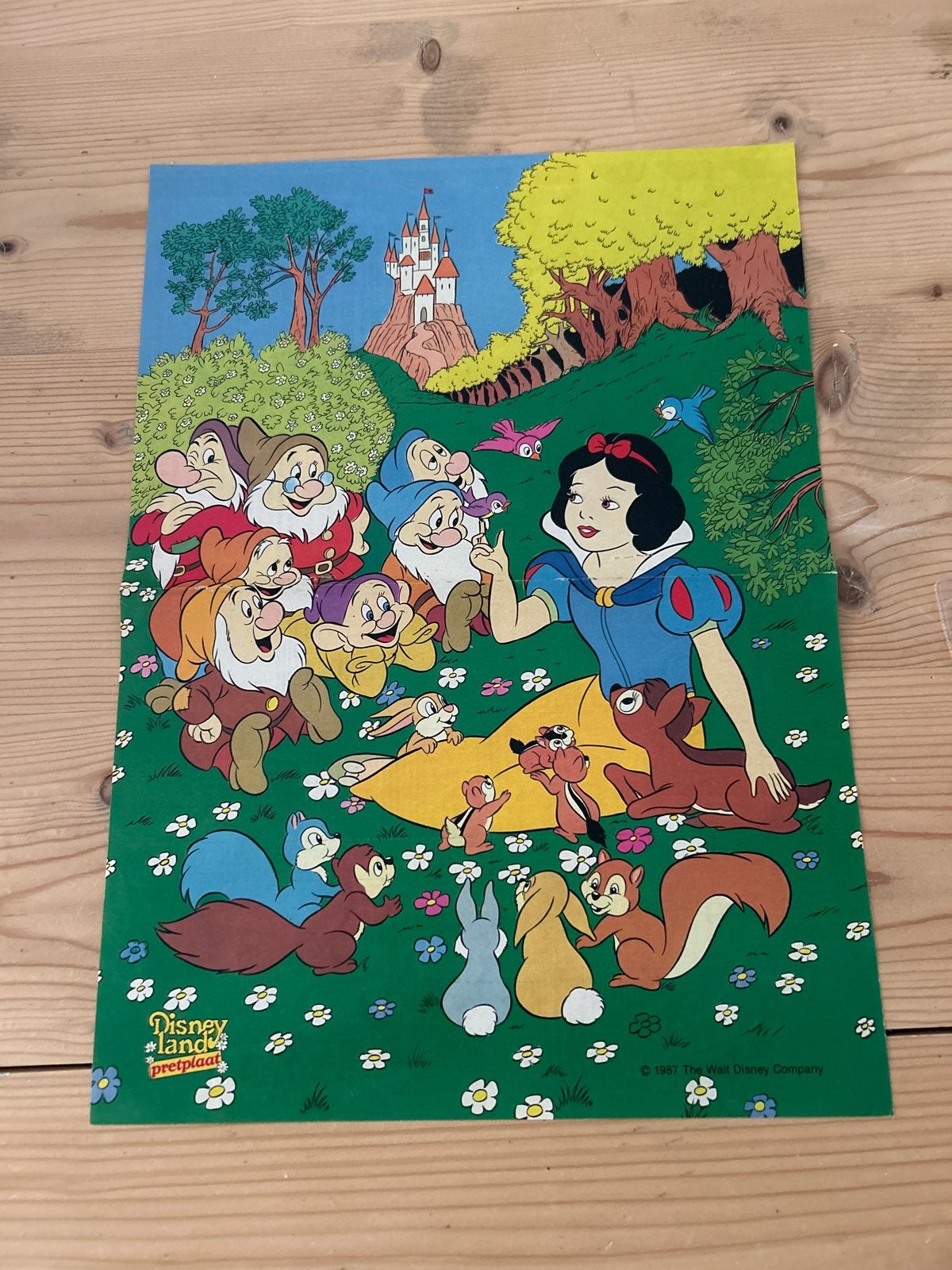 Set van 5 vintage Disney prentplaten/posters (jaren '80), Ophalen of Verzenden, A1 t/m A3, Film en Tv, Rechthoekig Staand