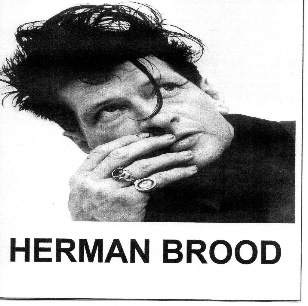 HERMAN BROOD - HERMAN BROOD (INTERVIEW + LIVE 1977) (CD), Ophalen of Verzenden, Zo goed als nieuw, Poprock