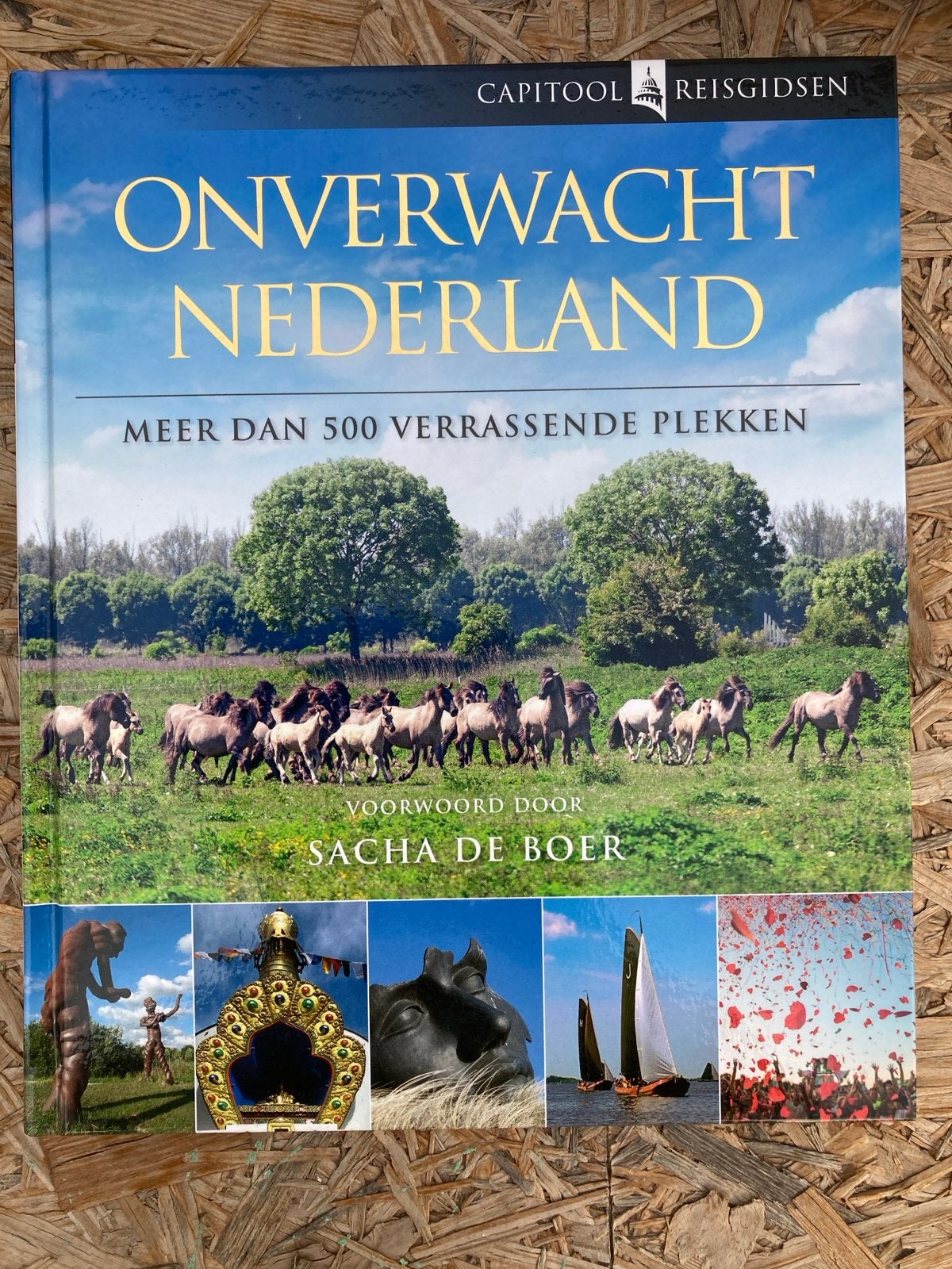 Onverwacht Nederland - Capitool Reisgidsen, Boeken, Reisgidsen, Capitool, Nieuw, Ophalen of Verzenden, Reisgids of -boek