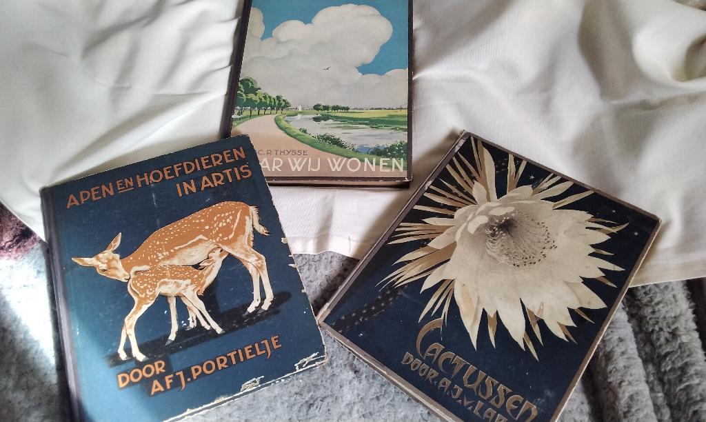 Boeken Plaatjes Verkade Cactussen Apen en Hoefdieren Artis, Ophalen, Gelezen, Plaatjesalbum