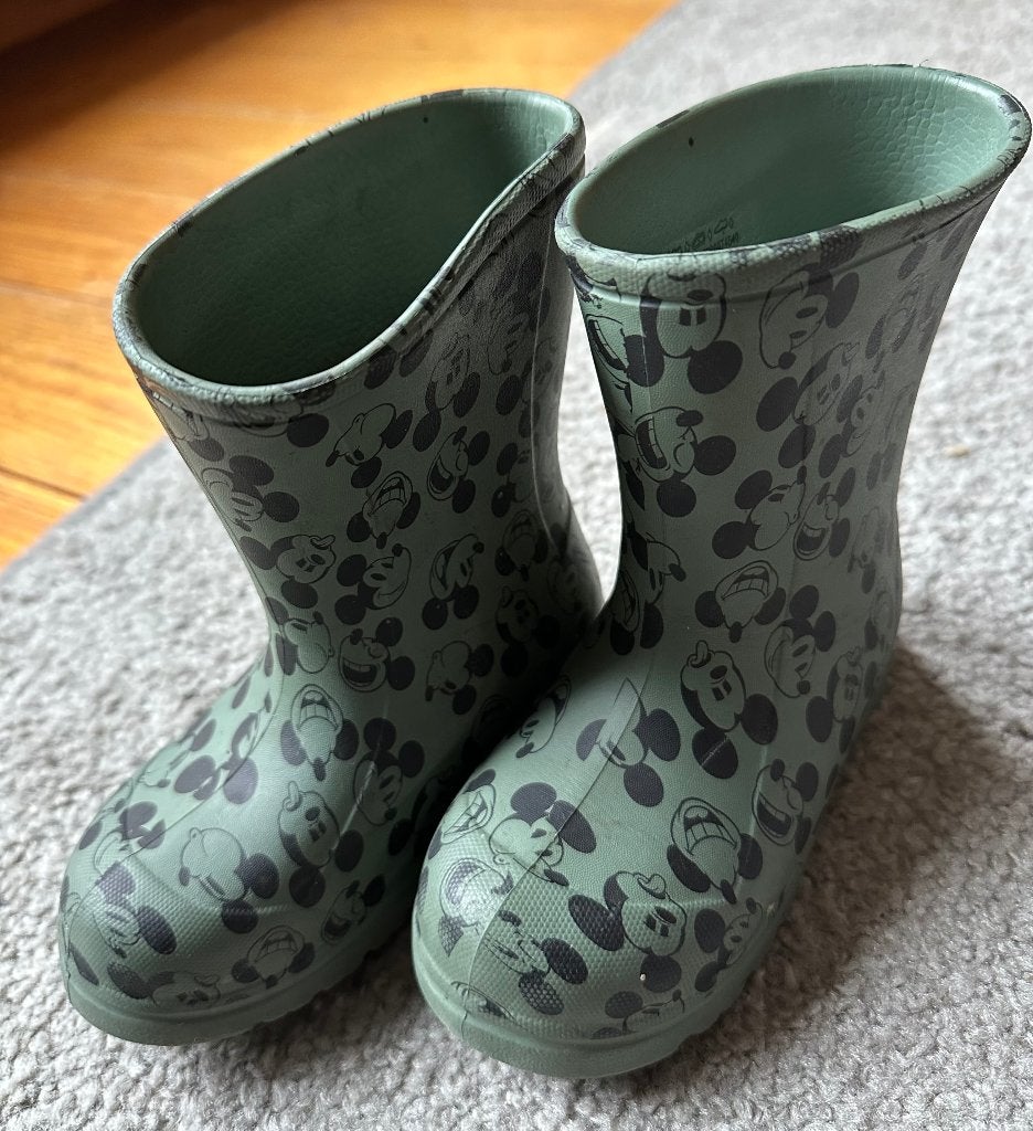 peuter regenlaarsjes, Disney, Jongen of Meisje, Ophalen of Verzenden, Laarzen