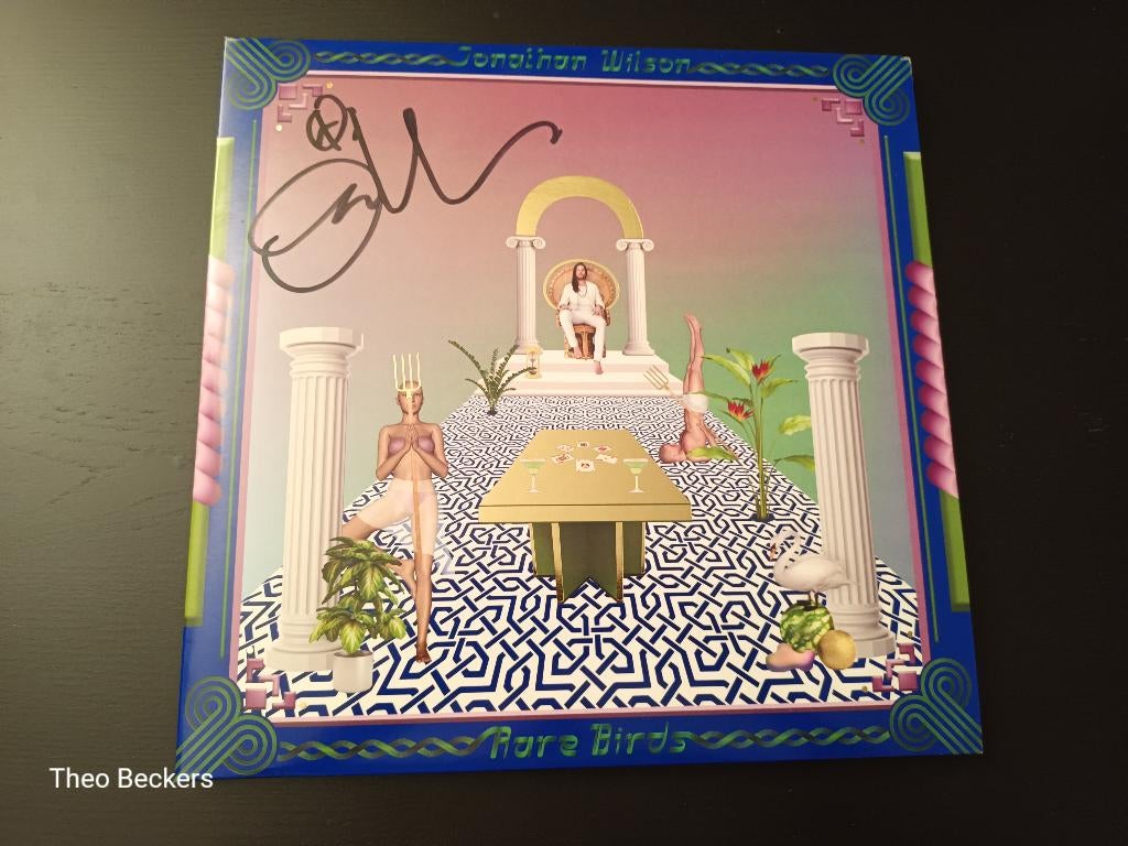 Jonathan Wilson - Rare Birds, Ophalen of Verzenden, Zo goed als nieuw, Poprock, Originele persing