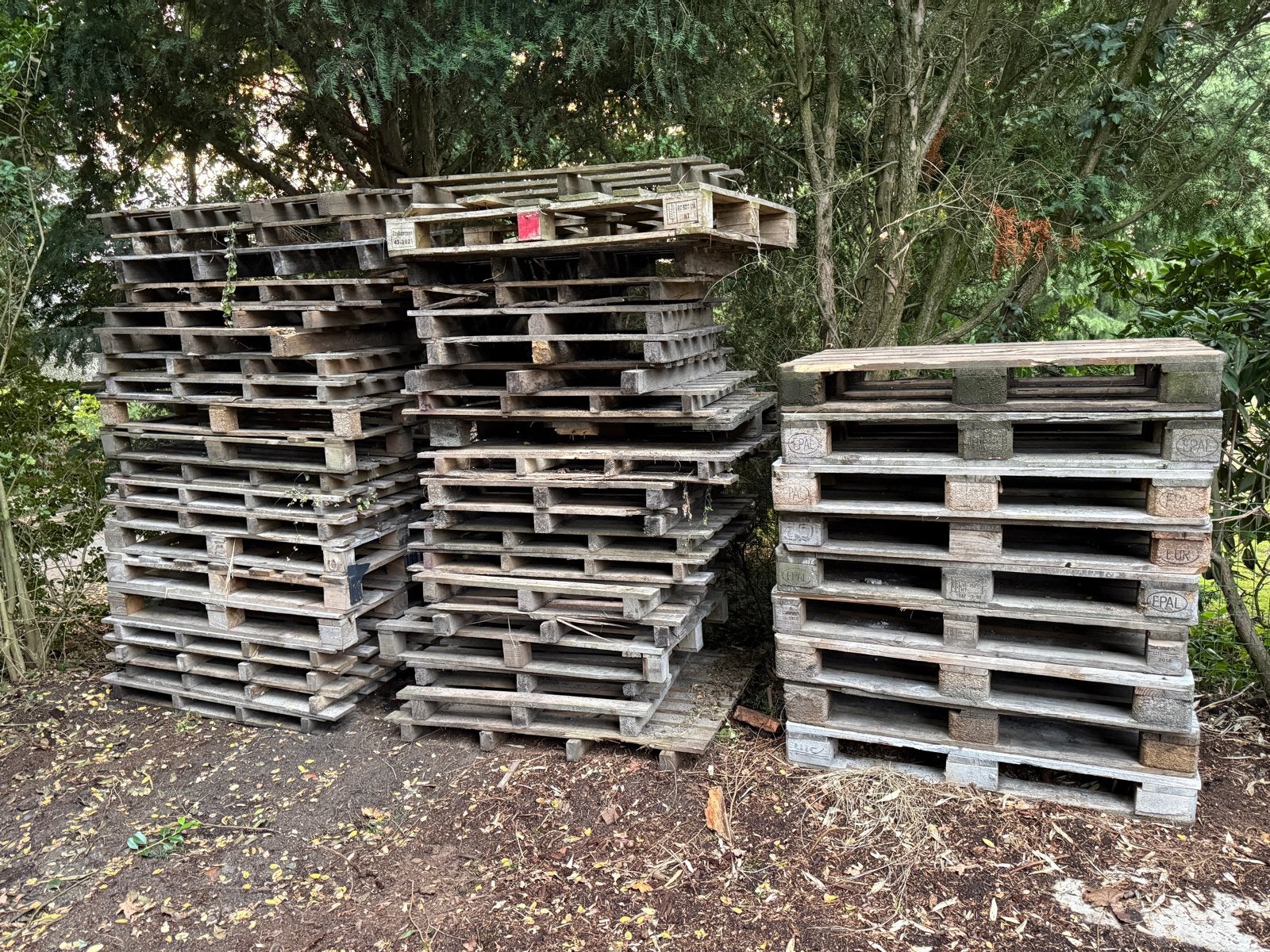 Gewone pallets en europallets - gratis en tegen vergoeding, Ophalen of Verzenden, Gebruikt
