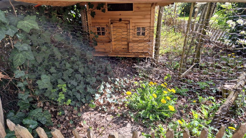 Kippenhok, Dieren en Toebehoren, Pluimvee | Toebehoren, Ophalen, Gebruikt, Kippenhok of Kippenren