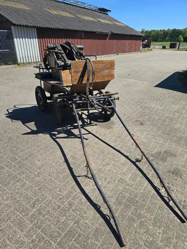Marathonwagen paarden