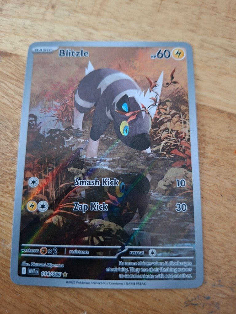 Blitzle 114, Ophalen of Verzenden, Zo goed als nieuw, Losse kaart, Foil