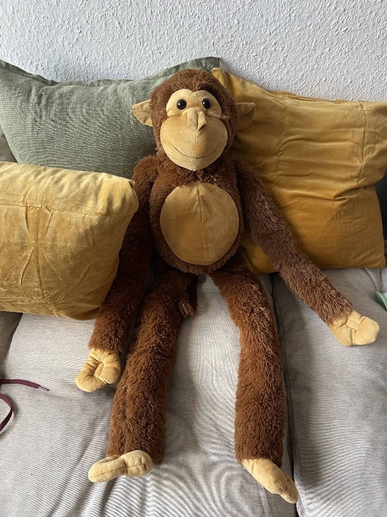 Knuffel aap, Ophalen, Nieuw, Overige typen, Middelgroot (20 tot 80 cm)