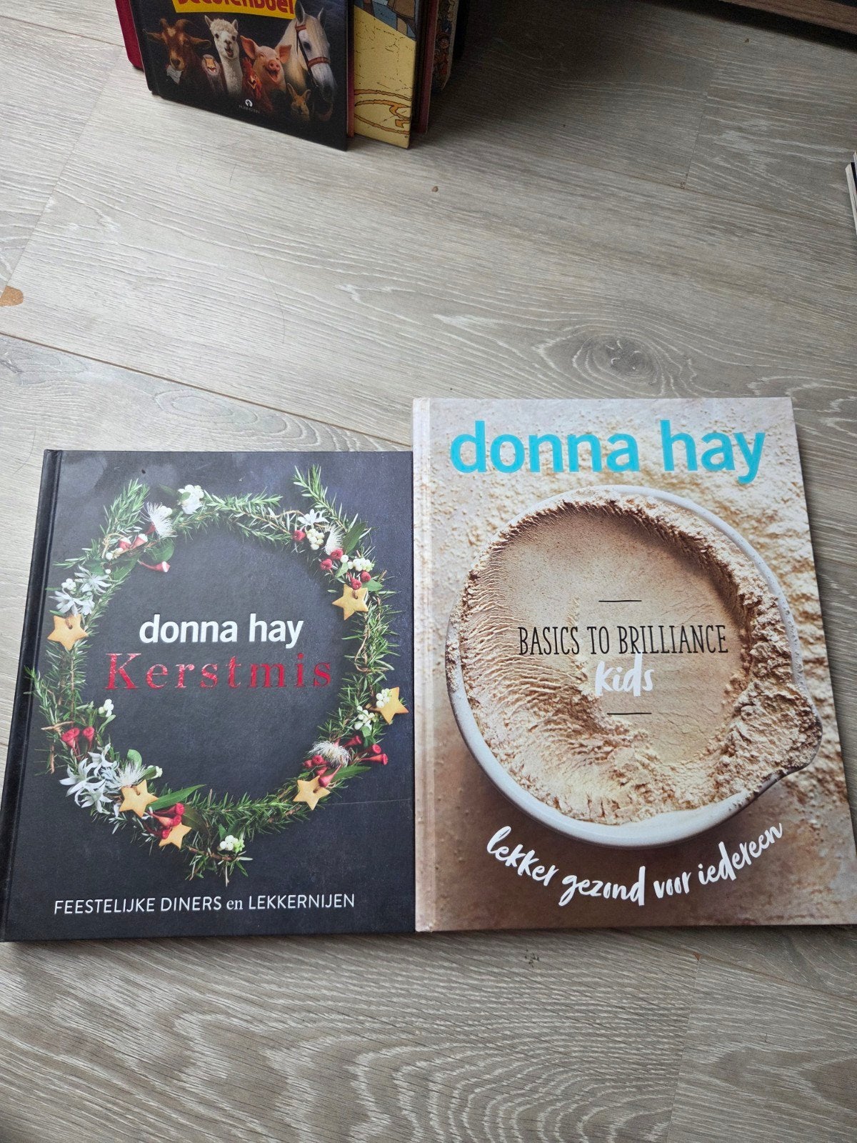 2x Donna Hay - Kerstmis + Basics to Brilliance Kids, Ophalen of Verzenden, Zo goed als nieuw, Italië