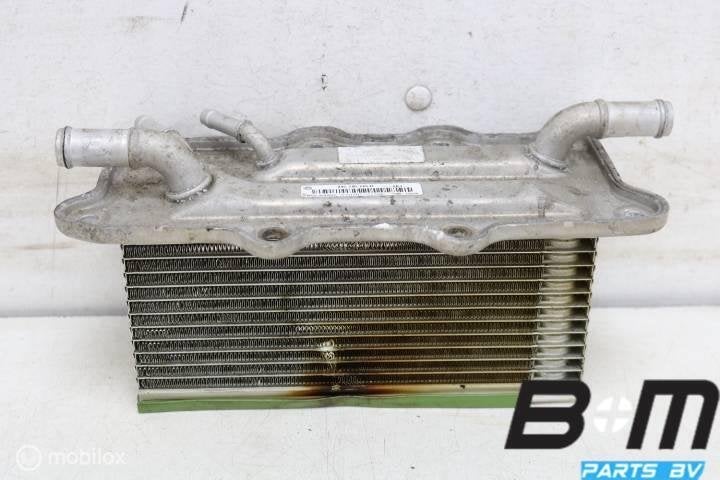Laadluchtkoeler / intercooler VW Polo 2G 04C145749D