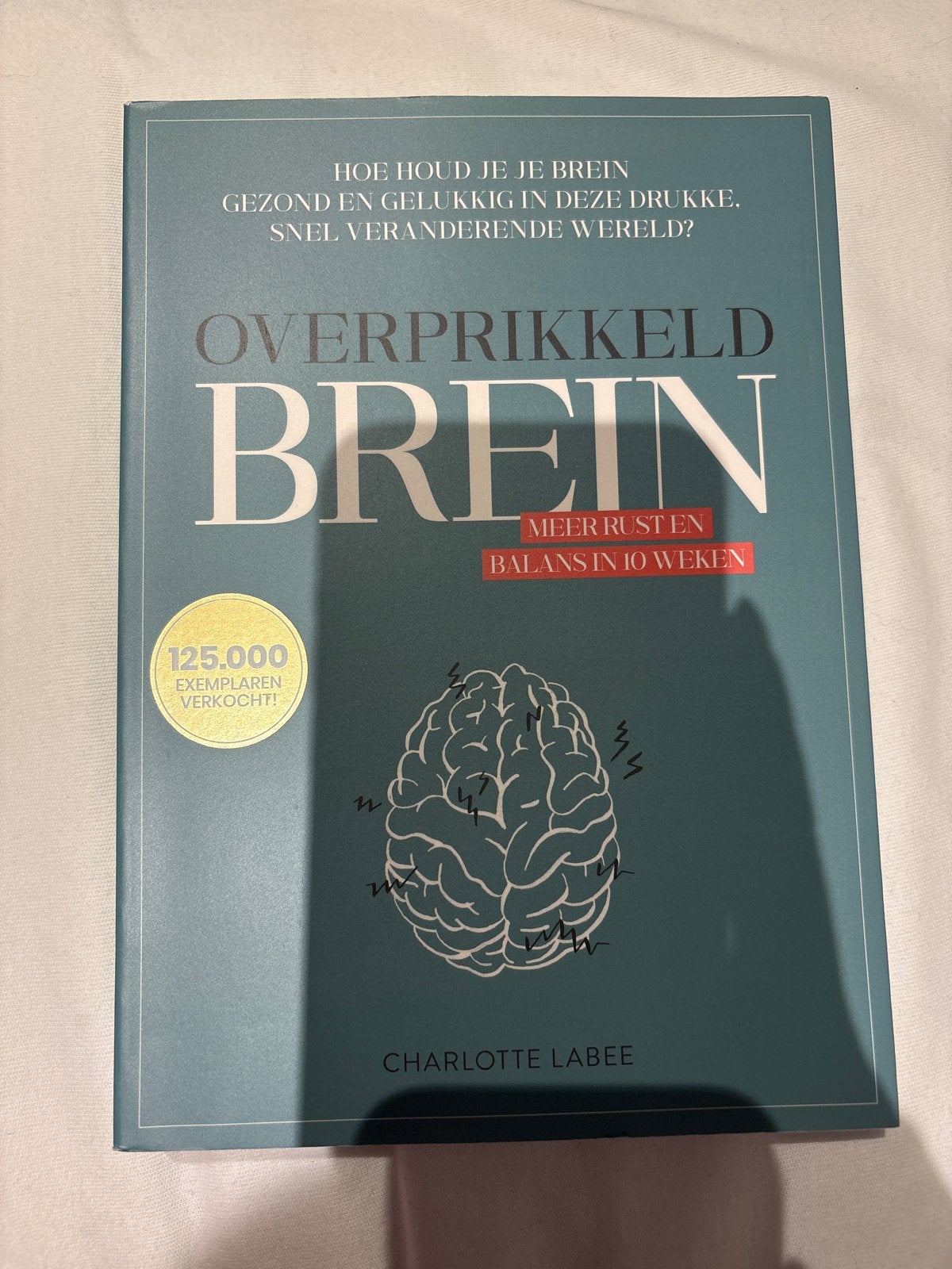 Overprikkeld Brein - Meer rust en balans in 10 weken, Ophalen of Verzenden, Nieuw