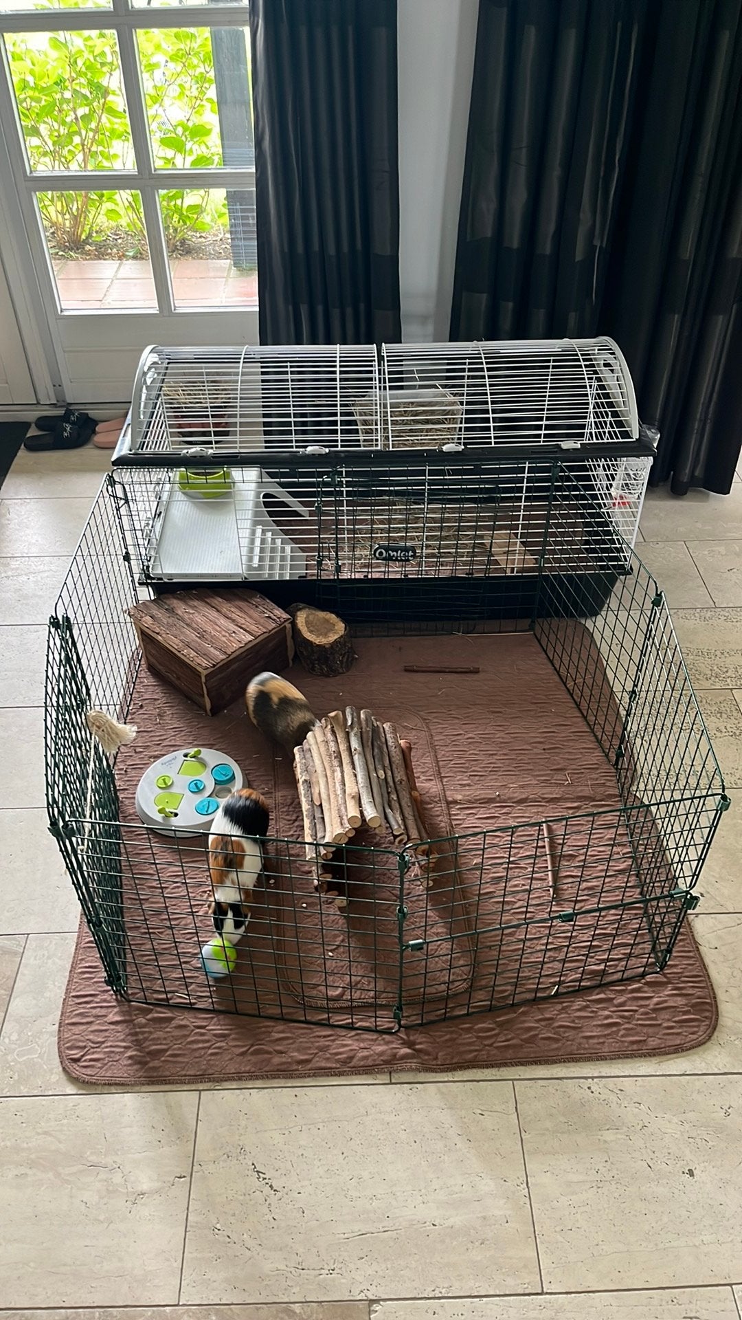 hamster/cavia/muis vakantieopvang  'de Snuffel', Januari, Meerdere dieren, Overige typen