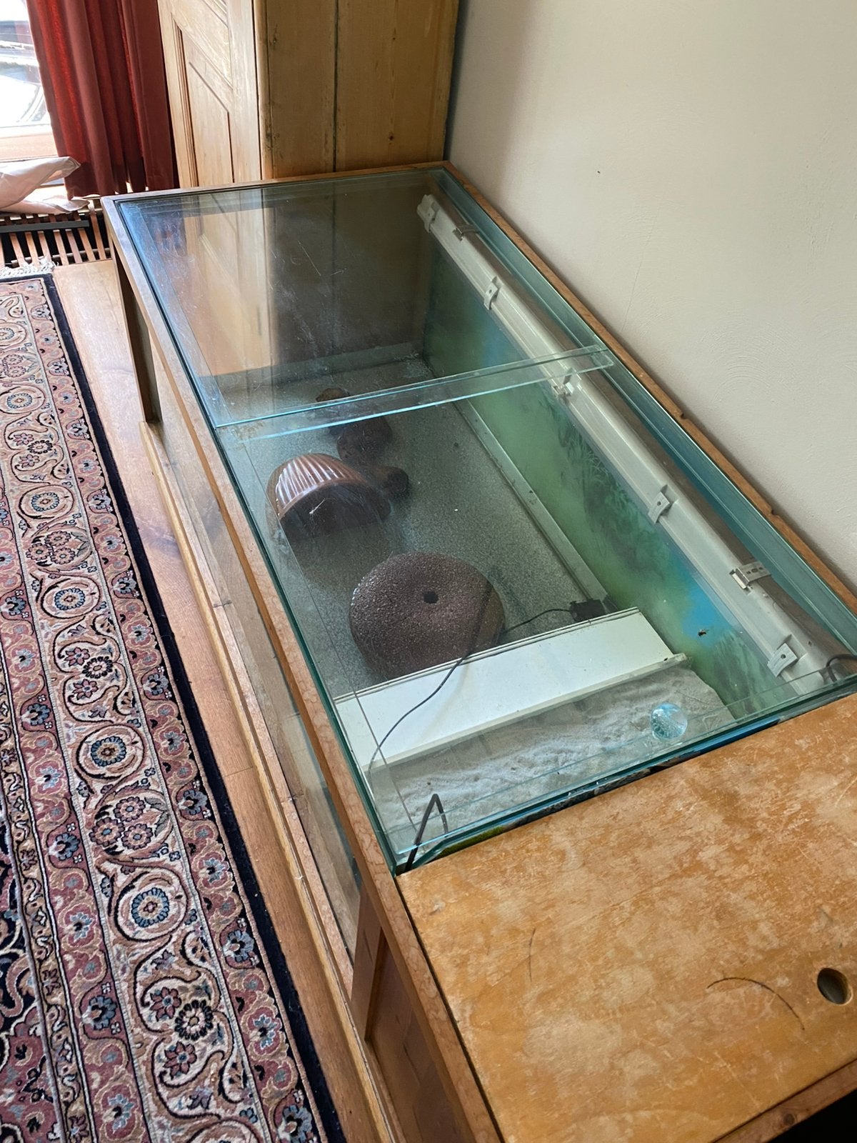 Terrarium tafel model T.A.B, Ophalen, Gebruikt, Terrarium of Paludarium
