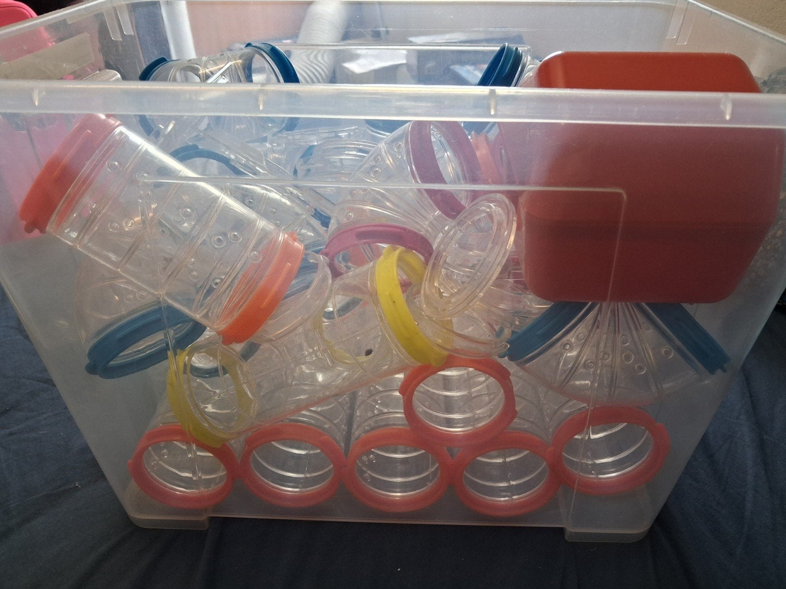 Set hamster buizen, Minder dan 60 cm, Kooi, Minder dan 75 cm, Ophalen of Verzenden