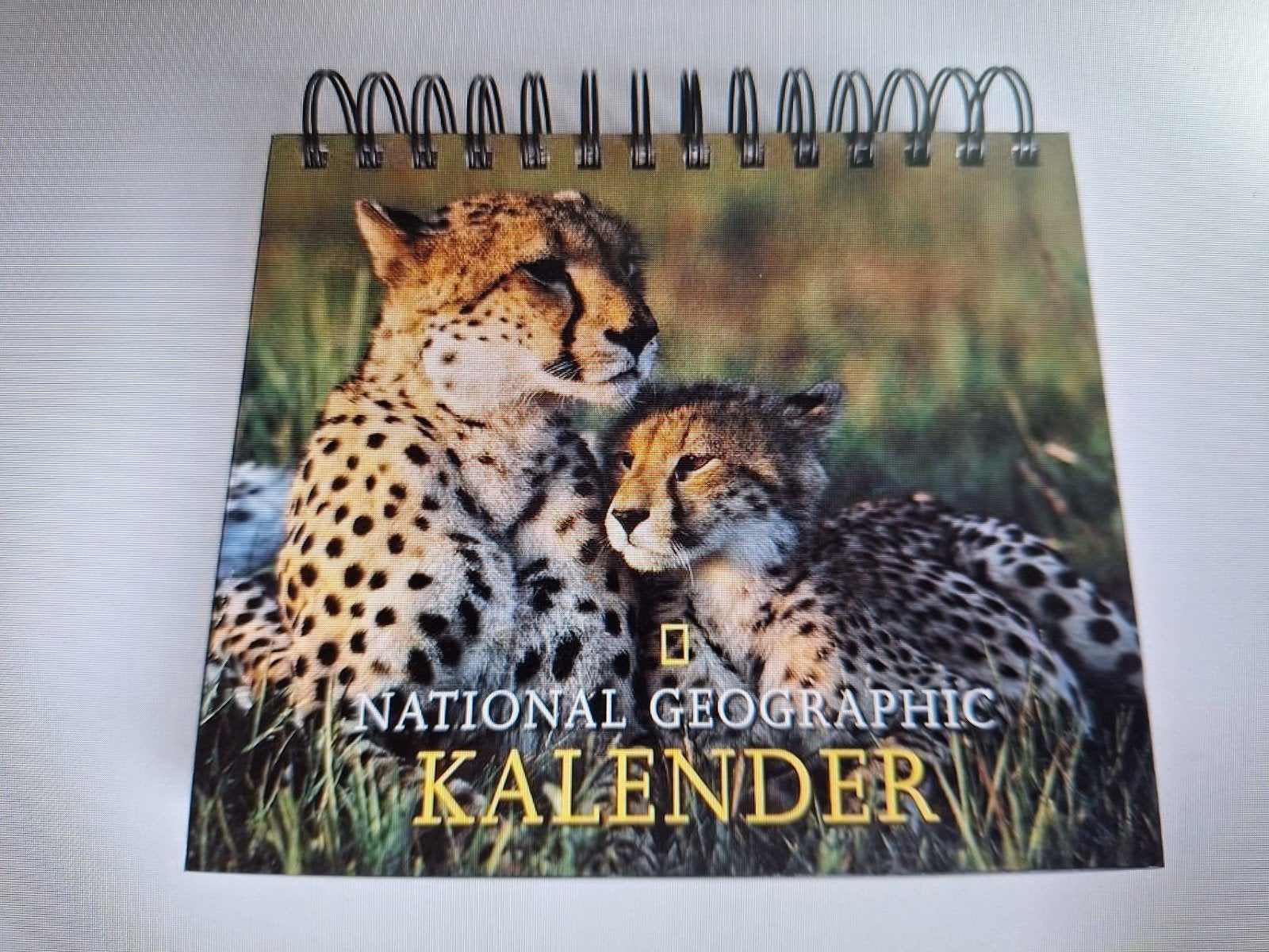 Eeuwig durende National Geographic Kalender - A1, Ophalen of Verzenden, Dagkalender, Gebruikt