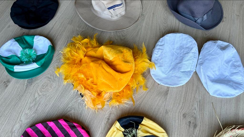 Carnavalshoeden en petten - Diverse stijlen en kleuren, Ophalen of Verzenden, Zo goed als nieuw
