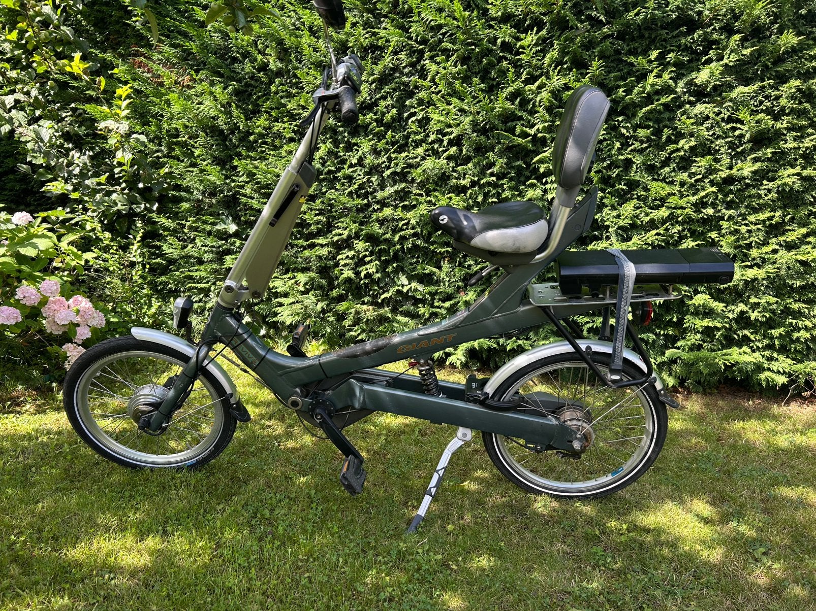 Giant Revive electrisch, Ophalen, Zo goed als nieuw, Giant