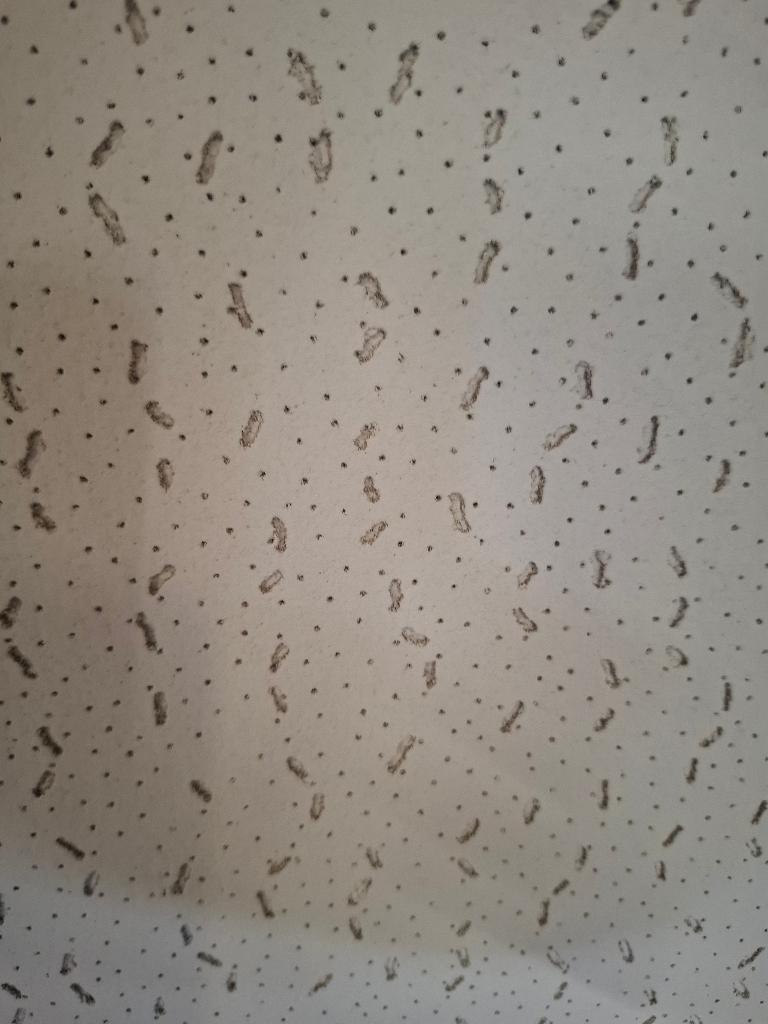 Systeemplafond platen, Ophalen, Nieuw, Overige materialen, Minder dan 20 mm