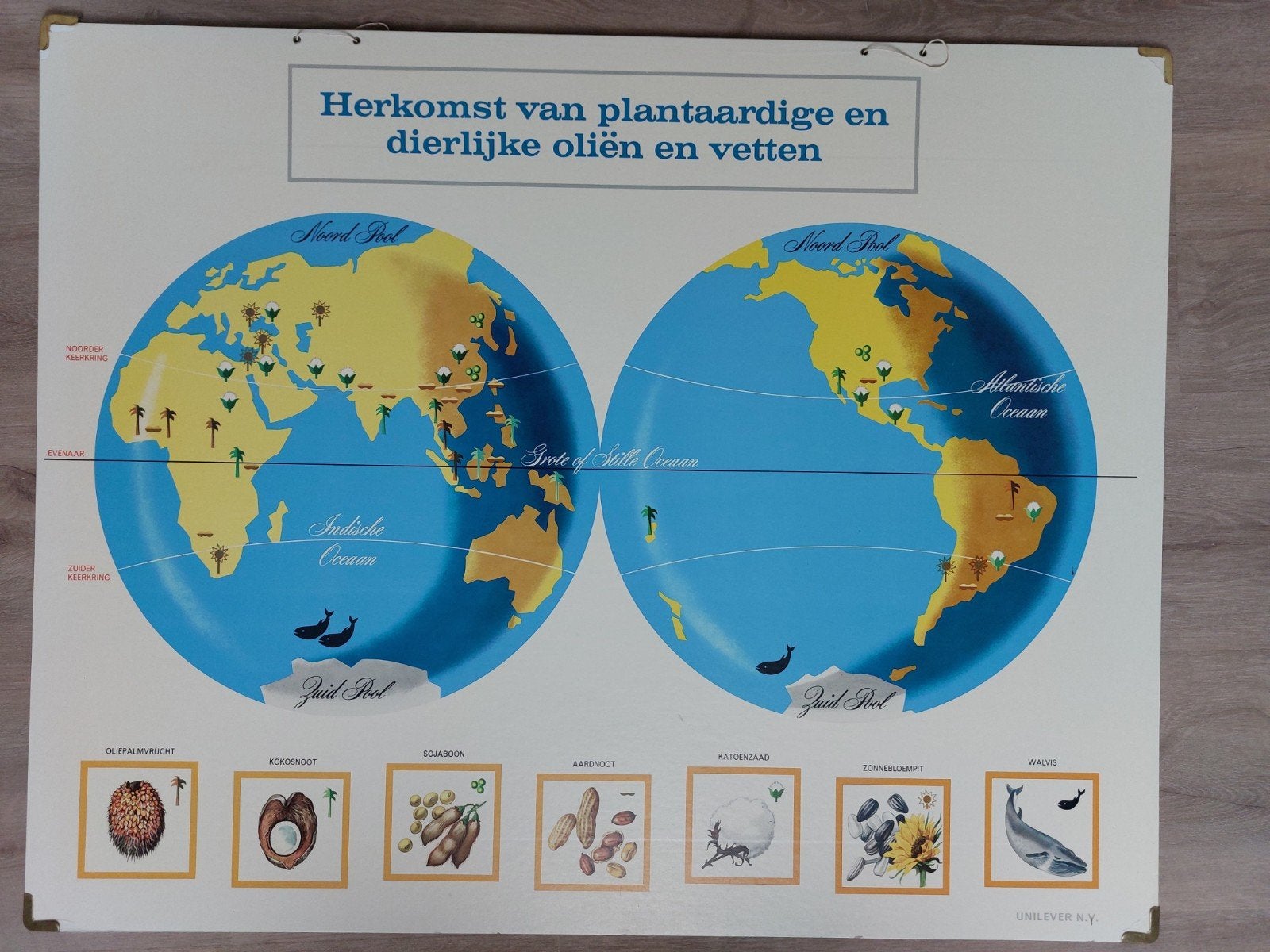 Vintage Educatieve Plaat: Herkomst Oliën en Vetten, Antiek en Kunst, Ophalen