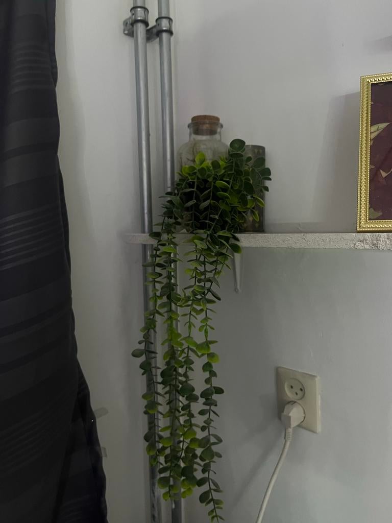 Hangende Kunstplant - Realistische Decoratie, Ophalen, Zo goed als nieuw