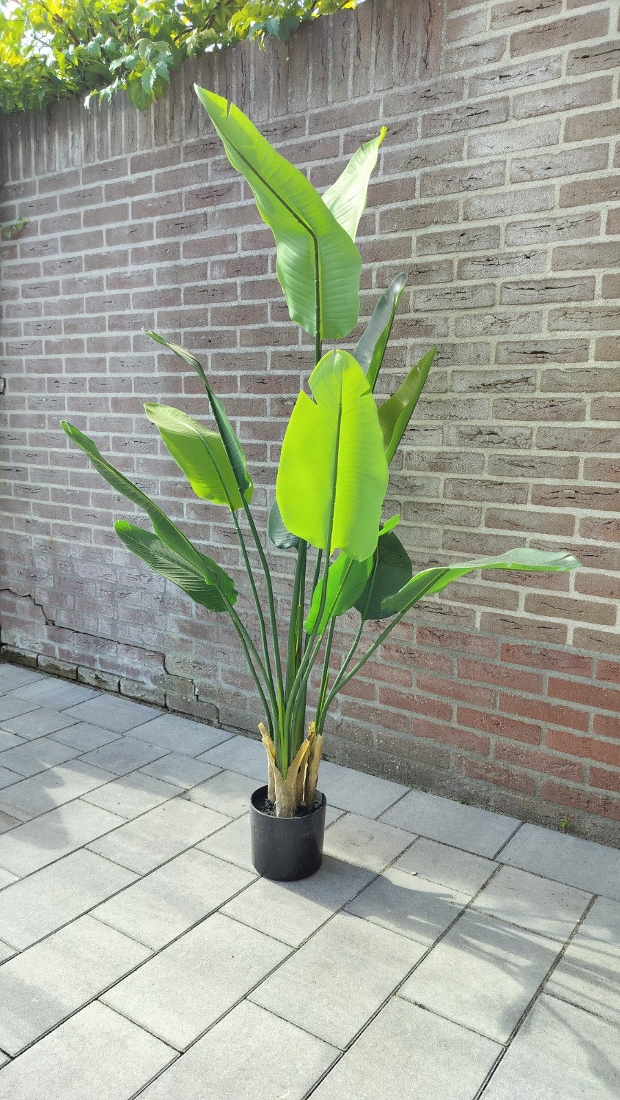 Grote Kunstplant Strelitzia 165cm, Ophalen, Groen, Met pot of vaas, Kunstplant