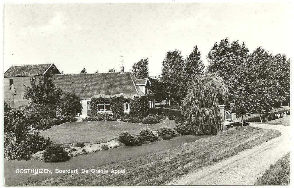 AK Oosthuizen - Boerderij De Oranje Appel, Verzenden, 1960 tot 1980, Ongelopen, Gelderland