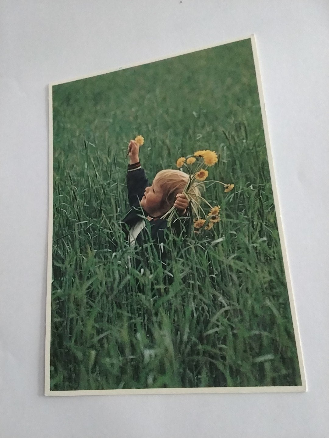 Vintage Ansichtkaart: Kind in Gras met Bloemen (1988), Ophalen of Verzenden, 1980 tot heden, Gelopen