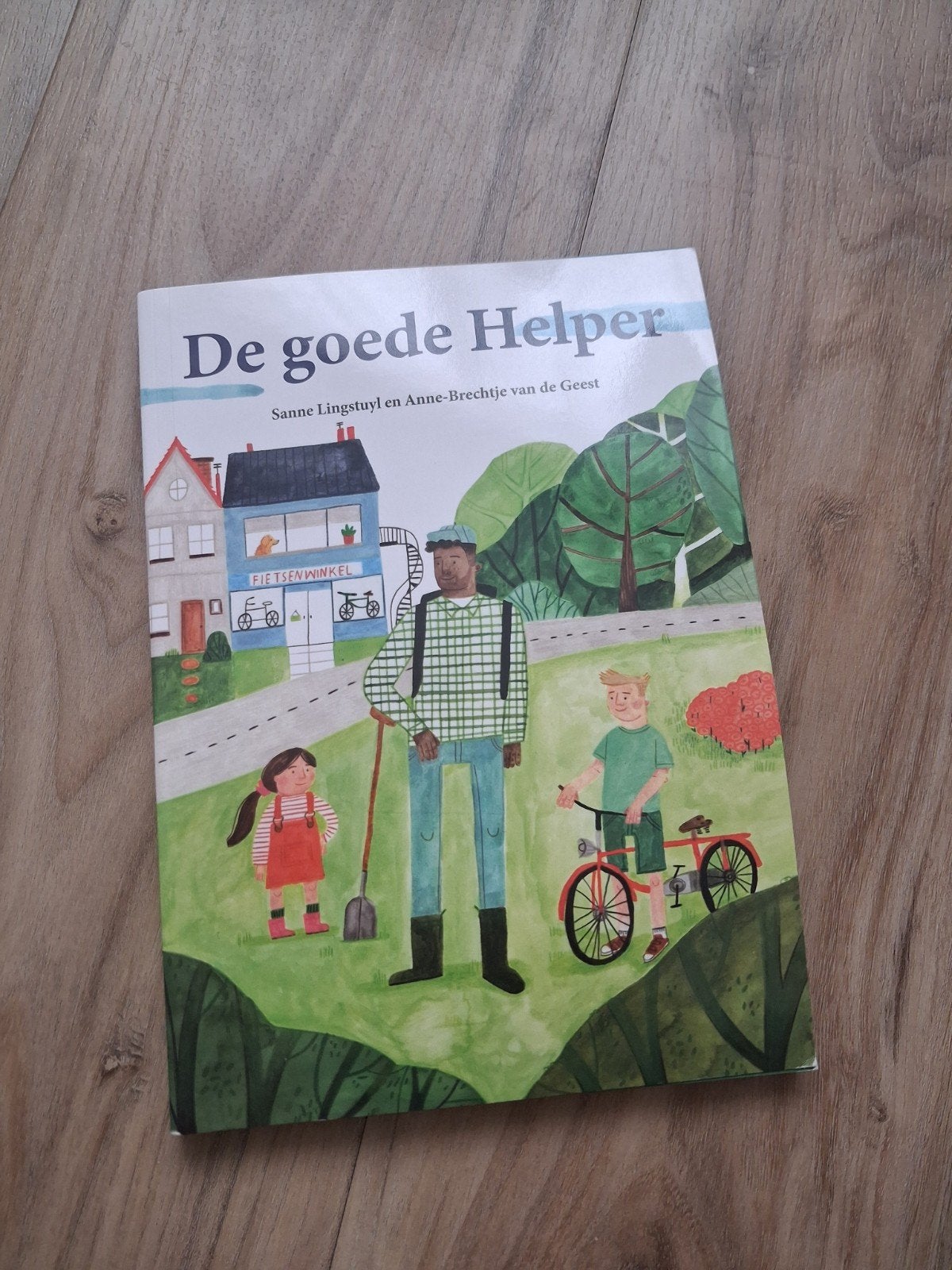 De goede Helper - Sanne Lingstuyl & Anne-Brechtje vd Gees, Ophalen of Verzenden, Zo goed als nieuw, Sanne Lingstuyl & Anne-Brechtje van de Geest