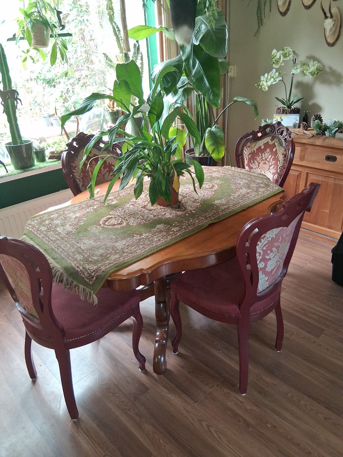 antieke Queen Anne eetkamer set, Ophalen, Gebruikt, 4 tot 6 stoelen
