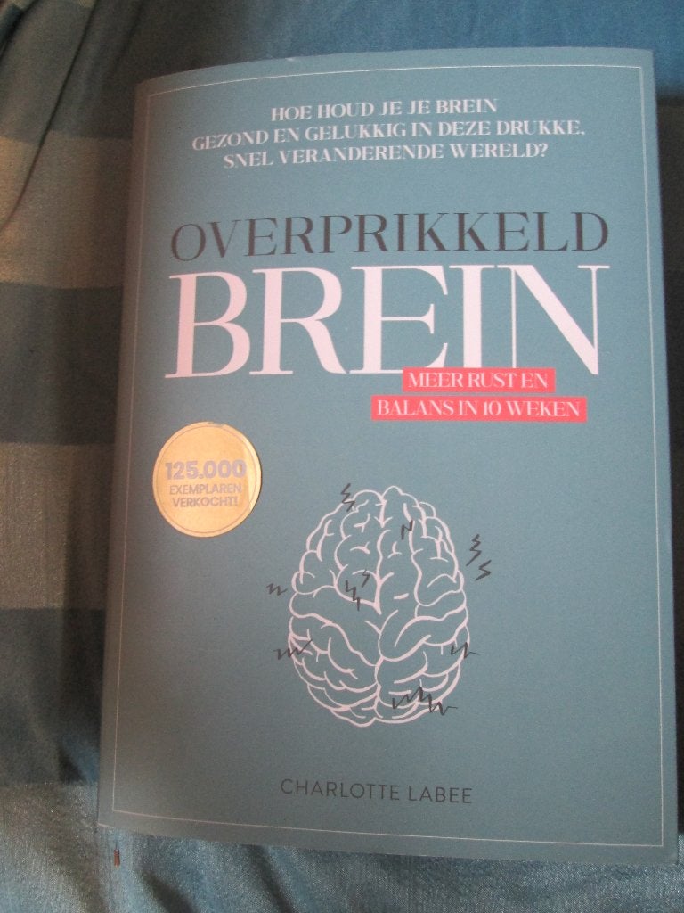 Overprikkeld brein  Charlotte Labee, Ophalen of Verzenden, Zo goed als nieuw